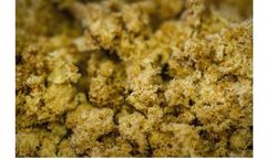 NextAlim - Black Soldier Fly Eggs