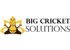 Custom Consulting Service