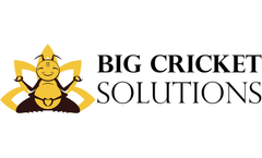 Custom Consulting Service