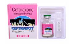 Ceftriaxone Sodium Injection