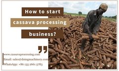 The Step-by-Step Guide to Launching a Cassava Processing Project