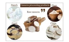 The Step-by-Step Guide to Launching a Cassava Processing Project