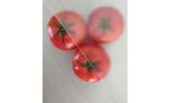 Yuhua - Model 30 Haze (2 Sides AR Optional) - Diffuse Glass