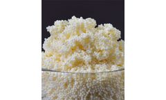 Sanford - Macroporous Strong Base Anion Exchange Resin (SBA)