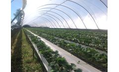 SunMaster DuraLight - Diffused Polythene Covers