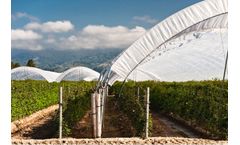 XL - Raspberry Support Netting