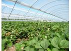 DuraLight Clear - Polythene Covers