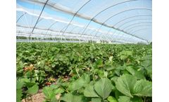 DuraLight Clear - Polythene Covers