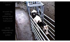 ODE Cattle Draft System - Video