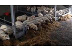 O-Donnell - Feed Barriers