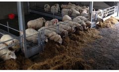 O-Donnell - Feed Barriers