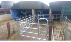 O-Donnell - Cattle Drafting System