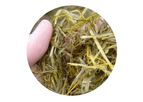 Winter Feeding and Silage Testing Services