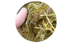 Winter Feeding and Silage Testing Services