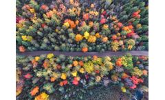 How Fluoropolymers Adapt to the Changing Demands of the Fall Season