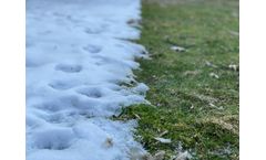 Spring Thaw and Groundwater Sampling: Why Your Tubing Matters More Than Ever
