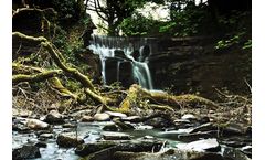 Clean Water in Every Season: Fluoropolymers in Fall Environmental Monitoring