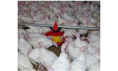 Evoteck - Feeding System for Turkeys