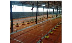 Evoteck - Feeding System for Ducks