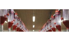 Master-Trading - Model VD2 - Feed Dispenser