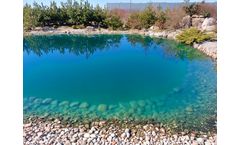 Dyofix Pond Dye Against Pond Algae and for decorative purposes