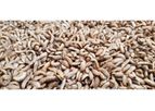 HATCH - Protein-rich Livestock Feed and Organic Fertiliser