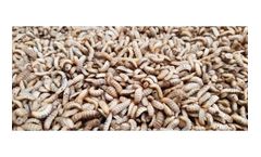 HATCH - Protein-rich Livestock Feed and Organic Fertiliser
