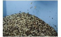 ENTOCYCLE - Insect-based Protein