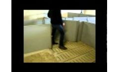 Pellon - Fattening Suite - Video