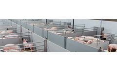 Pellon - Pig Fattening Suite