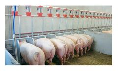 Pellon - Pig Sow Slow Feeder
