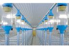 Pellon - Pig Dry Feeding