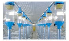 Pellon - Pig Dry Feeding
