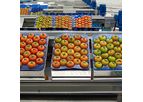 Ingeniería - Vegetables and Leafy Processing Lines Machine