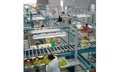 IngenierÃ­a - Grapes Processing Lines Machine