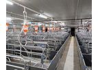 Hengyin - Farrowing Crate