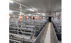 Hengyin - Farrowing Crate