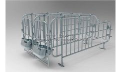Hengyin - Gestation Crate