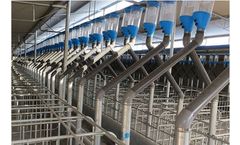 Hengyin - Auger Feeding System