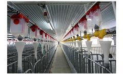 Hengyin - Chain Feeding System