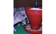 Prem ACTI - Prestater for Piglets