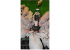 Prem LAC - Prestater for Pig