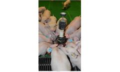 Prem LAC - Prestater for Pig