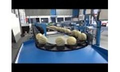 NOVAGRAM Special melon- Video
