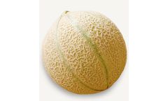 Calibrex - Melon Sorting Machines