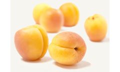 Calibrex - Sorting Machines for Apricots, Plums, Kiwis