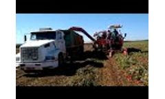 Brasile 2020 - Video