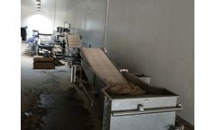 NSSPL - Electronic (Optical) Sorting & Grading System