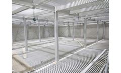 NSSPL - Model IQF - Frozen Storage & Blast Freezer