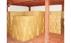 NSSPL - Frozen Storage & Blast Freezer
